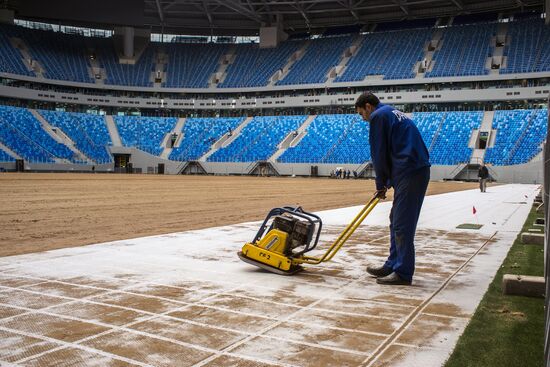 Returfing starts at St.Petersburg Arena