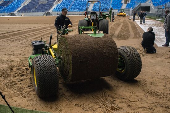 Returfing starts at St.Petersburg Arena