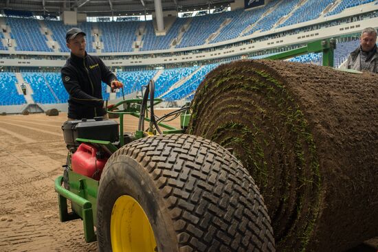 Returfing starts at St.Petersburg Arena