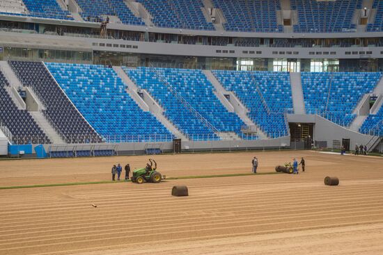 Returfing starts at St.Petersburg Arena