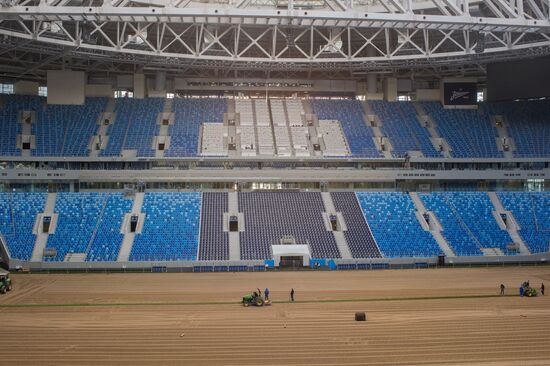 Returfing starts at St.Petersburg Arena