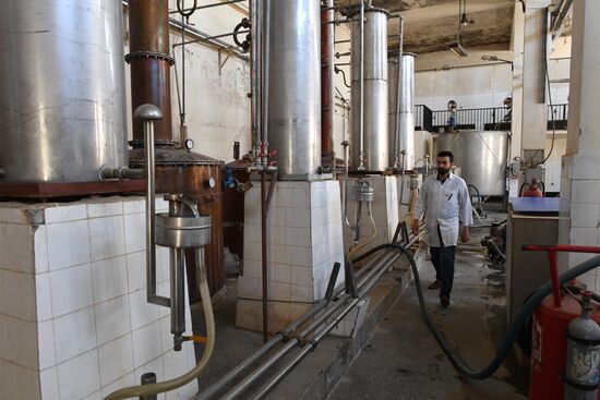 Arrack and wine distillery in Souweida, Syria