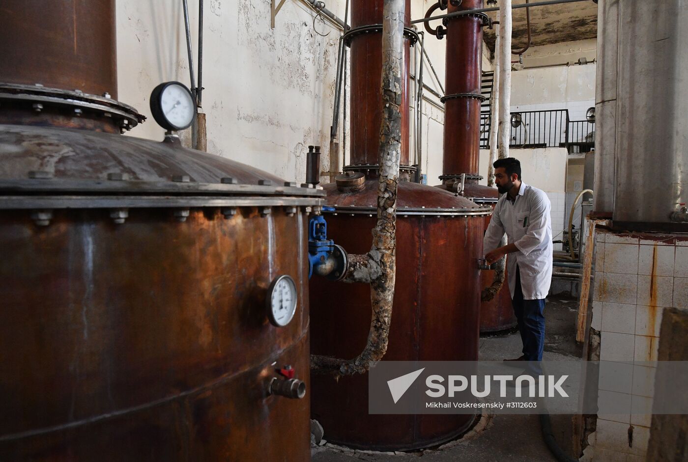 Arrack and wine distillery in Souweida, Syria