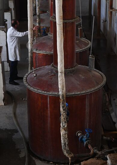 Arrack and wine distillery in Souweida, Syria