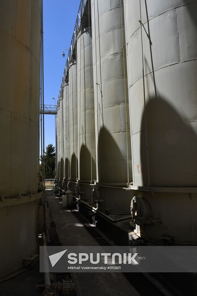 Arrack and wine distillery in Souweida, Syria