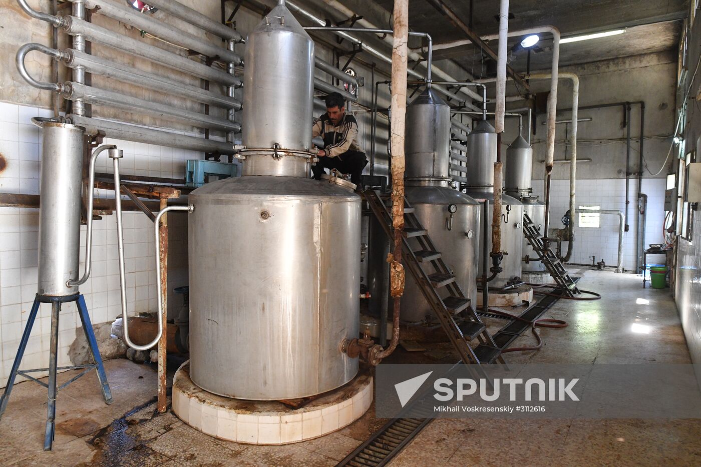 Arrack and wine distillery in Souweida, Syria