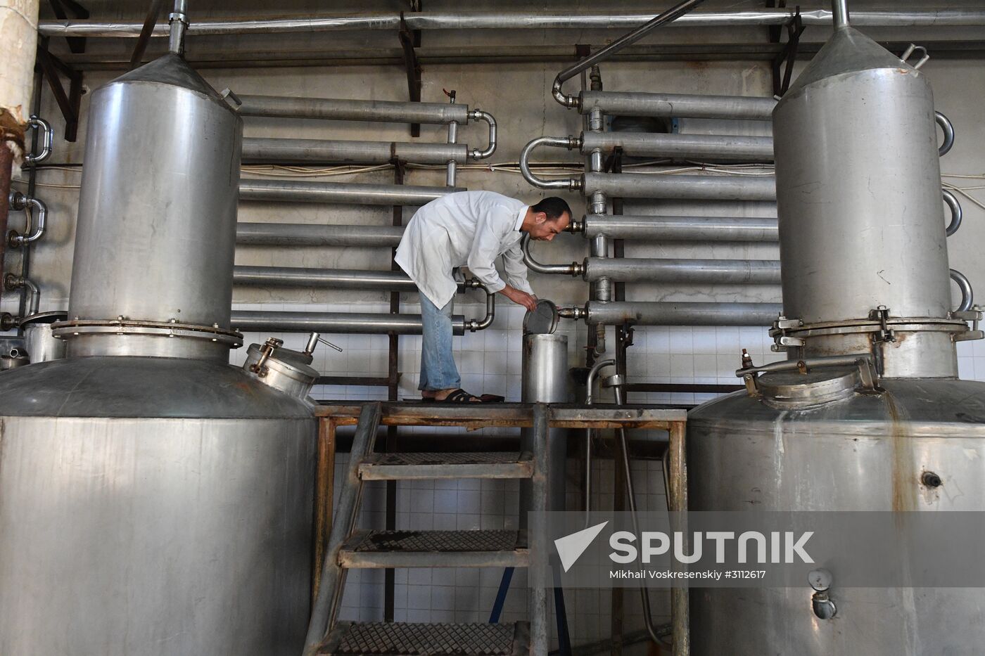 Arrack and wine distillery in Souweida, Syria