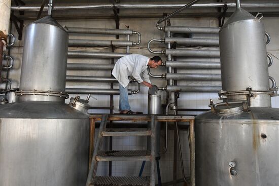 Arrack and wine distillery in Souweida, Syria