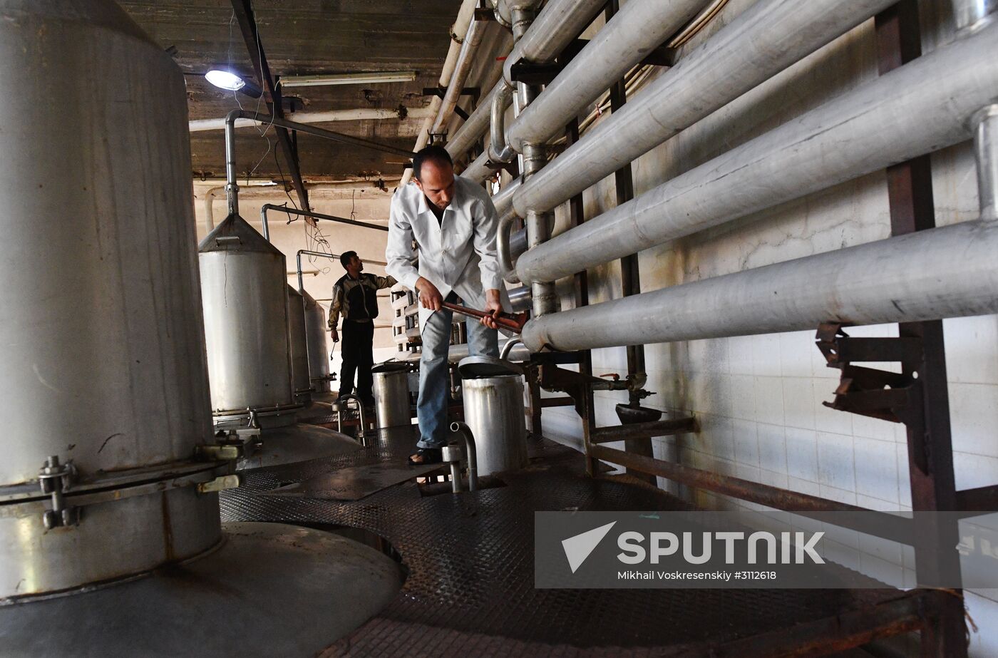 Arrack and wine distillery in Souweida, Syria