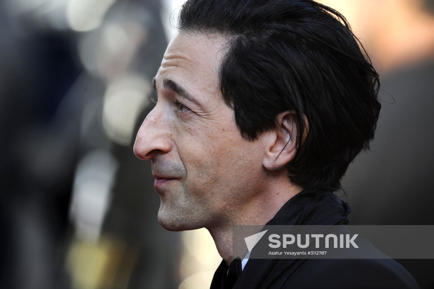 70th Cannes International Film Festival. Day eleven