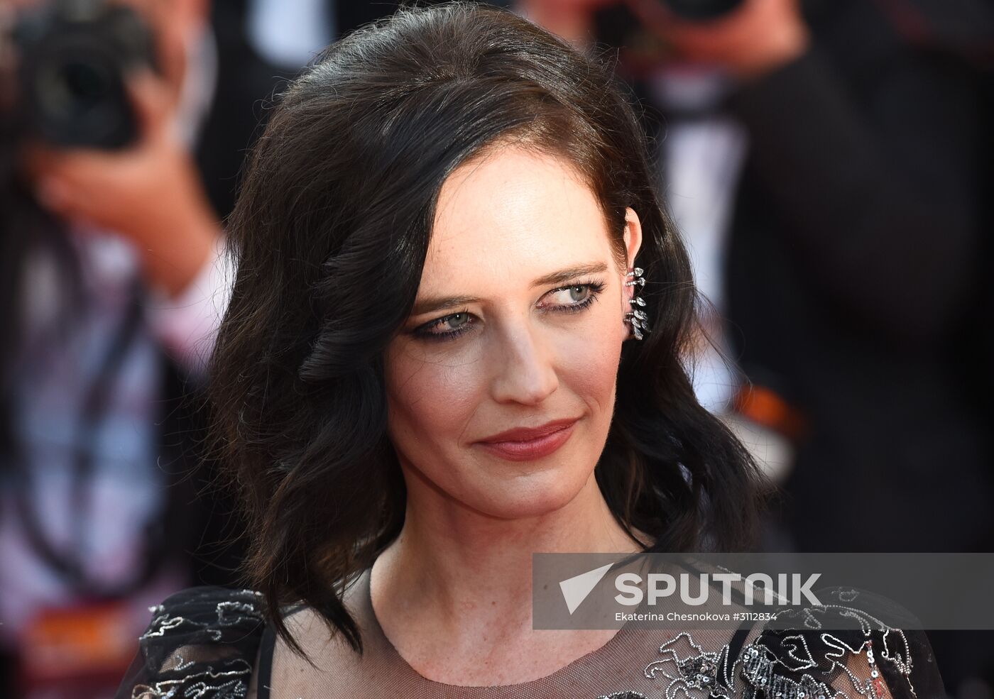 70th International Cannes Film Festival. Day Eleven