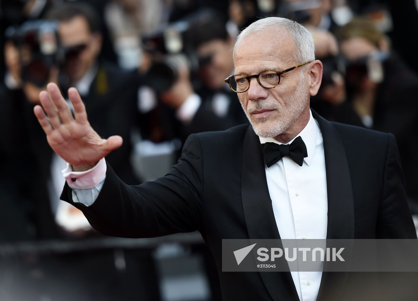 70th International Cannes Film Festival. Day Eleven