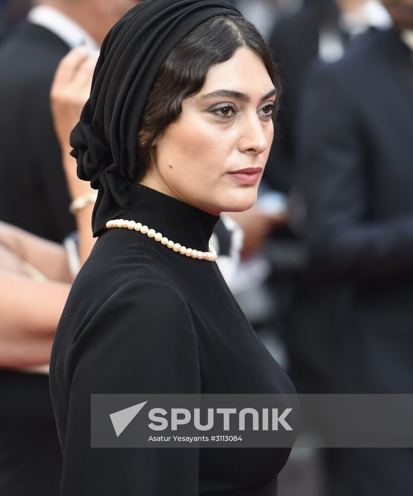 70th Cannes International Film Festival. Day Eleven