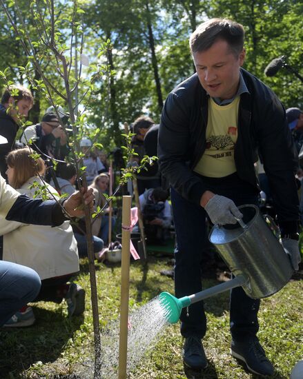 Tree planting effort and Oleg Yankovsky Creative Discovery Awards