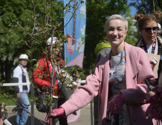 Tree planting effort and Oleg Yankovsky Creative Discovery Awards