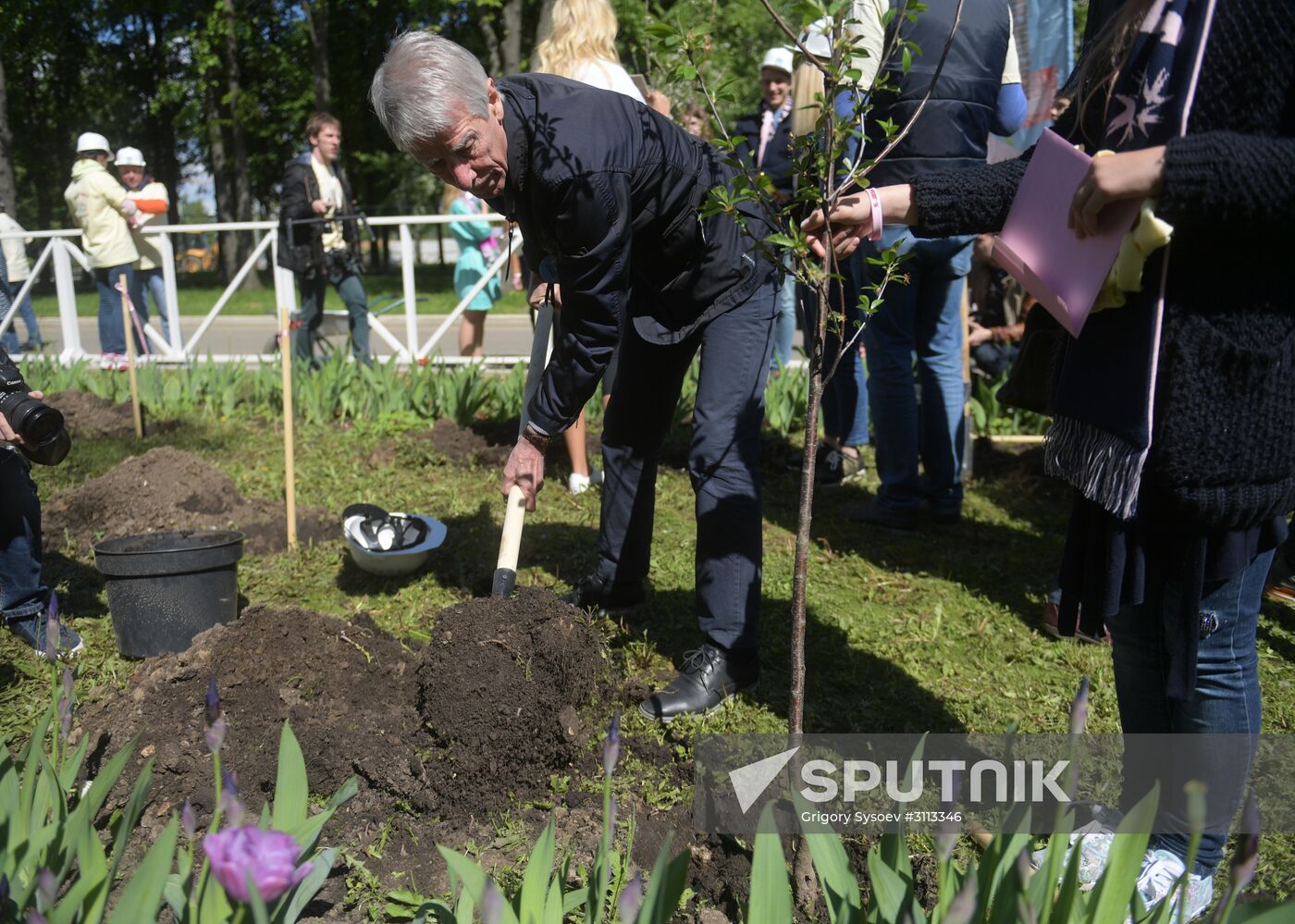 Tree planting effort and Oleg Yankovsky Creative Discovery Awards