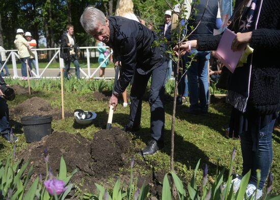 Tree planting effort and Oleg Yankovsky Creative Discovery Awards