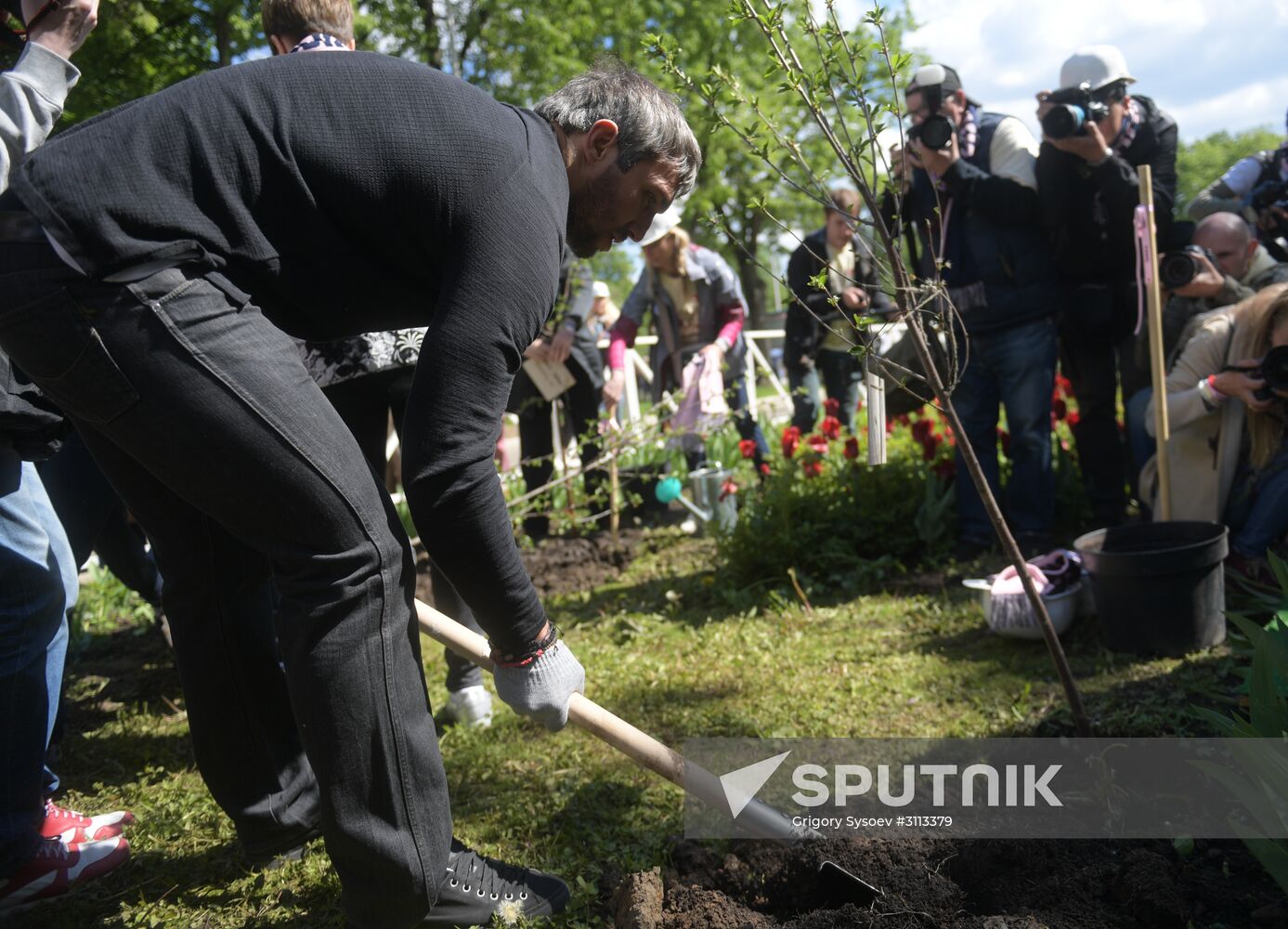 Tree planting effort and Oleg Yankovsky Creative Discovery Awards