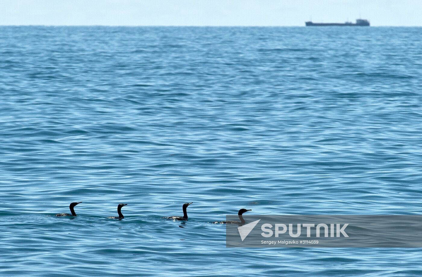 Karadag nature reserve in Crimea