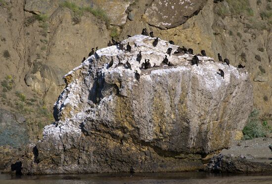 Karadag nature reserve in Crimea
