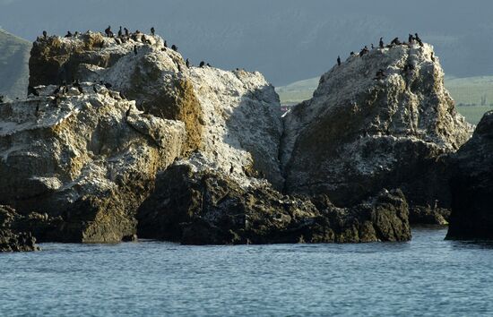 Karadag nature reserve in Crimea