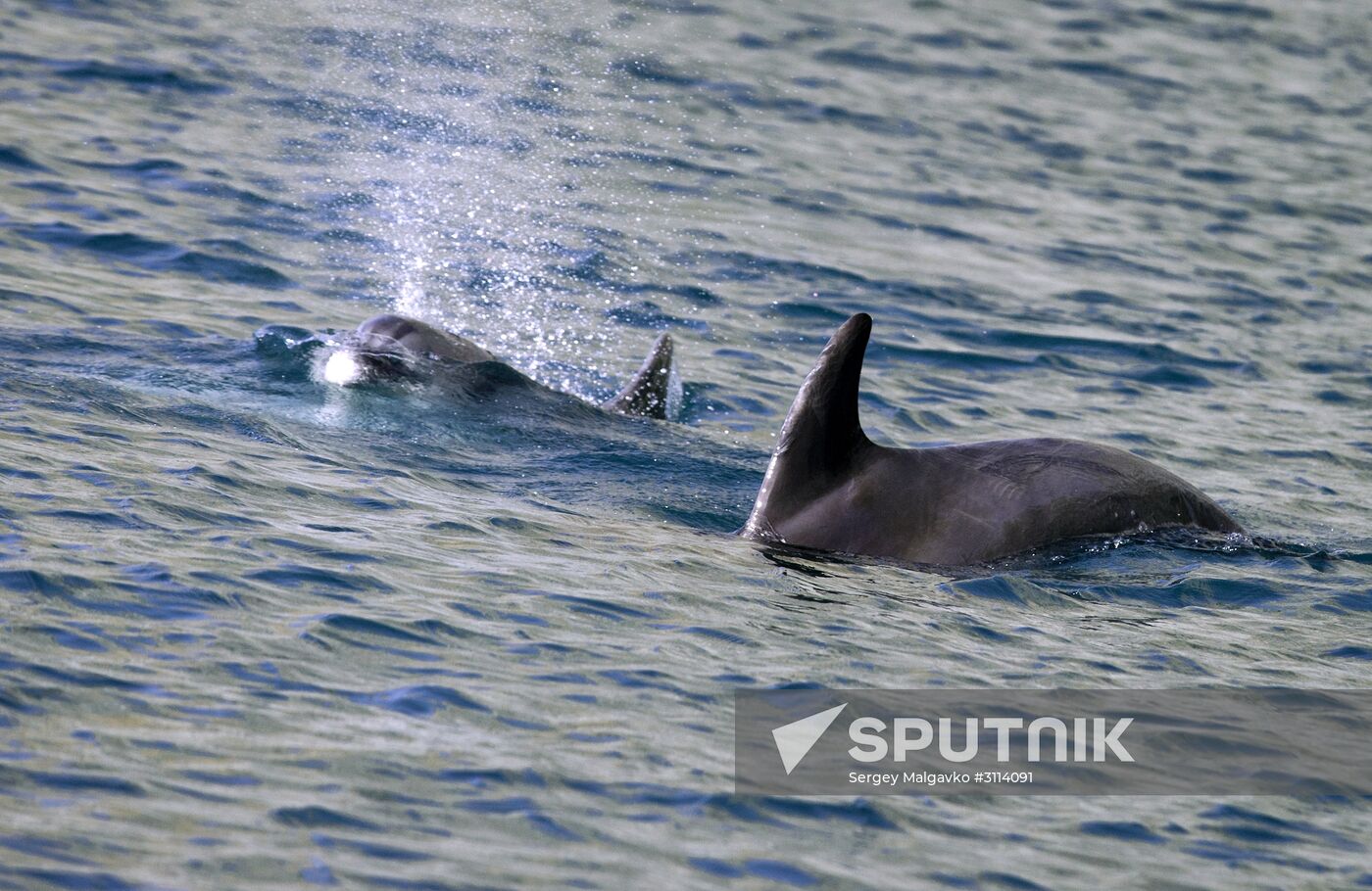 Karadag nature reserve in Crimea