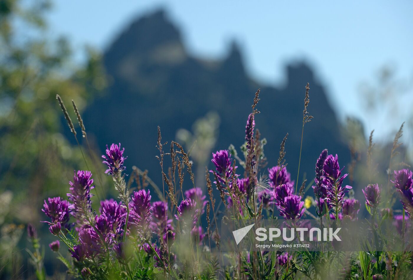 Karadag nature reserve in Crimea
