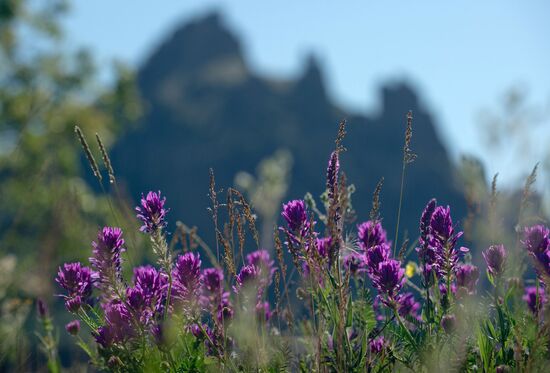Karadag nature reserve in Crimea