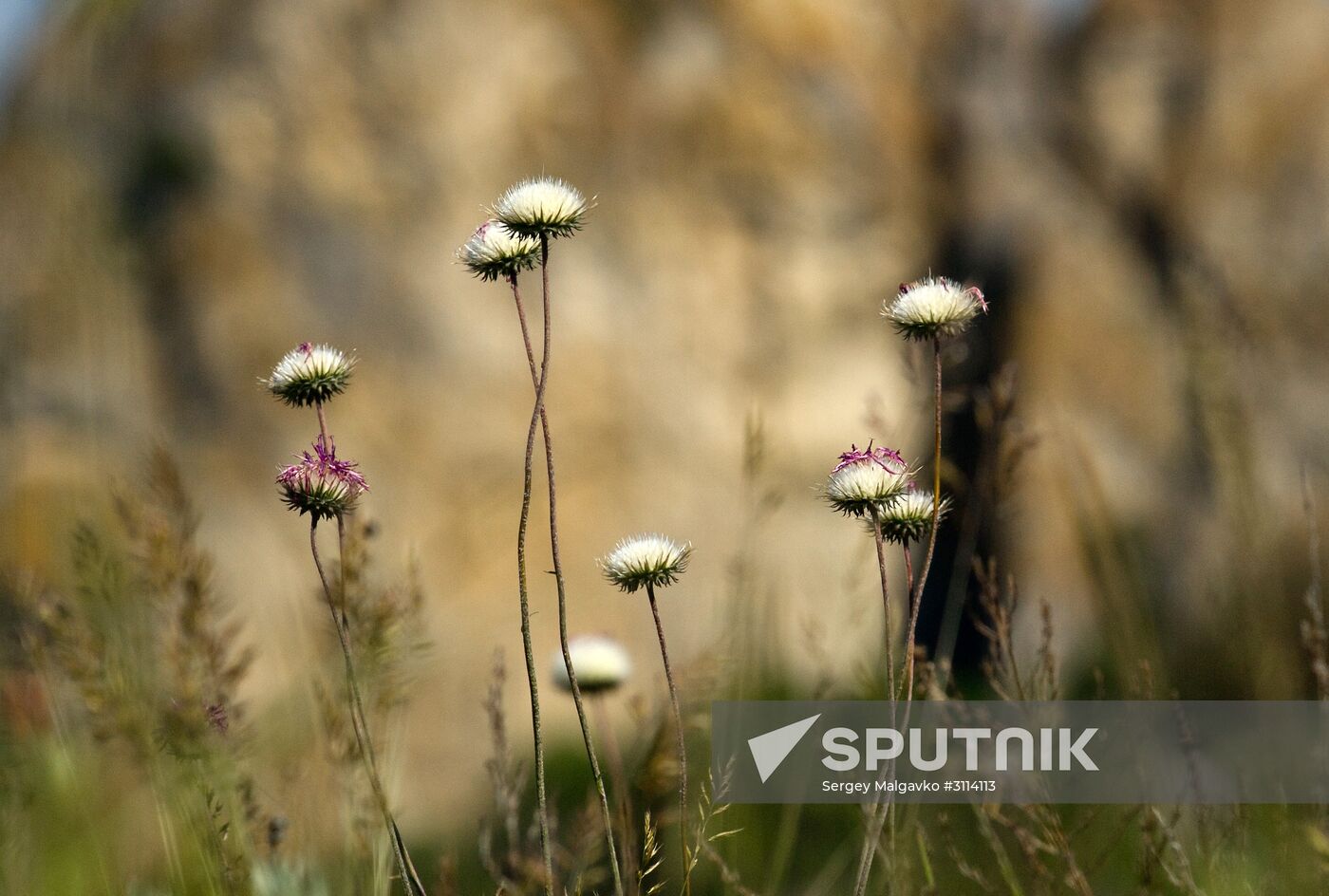 Karadag nature reserve in Crimea