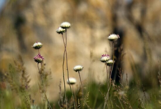 Karadag nature reserve in Crimea