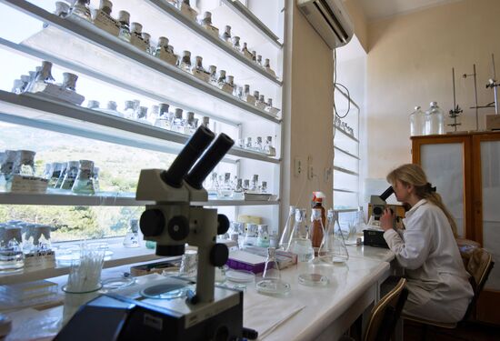 Karadag nature reserve in Crimea