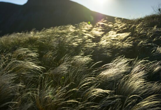 Karadag nature reserve in Crimea