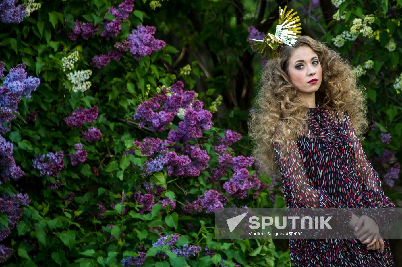 Lilac bushes bloom in Moscow