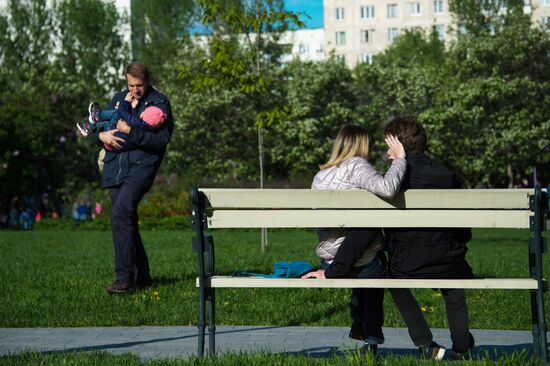 Lilac bushes bloom in Moscow