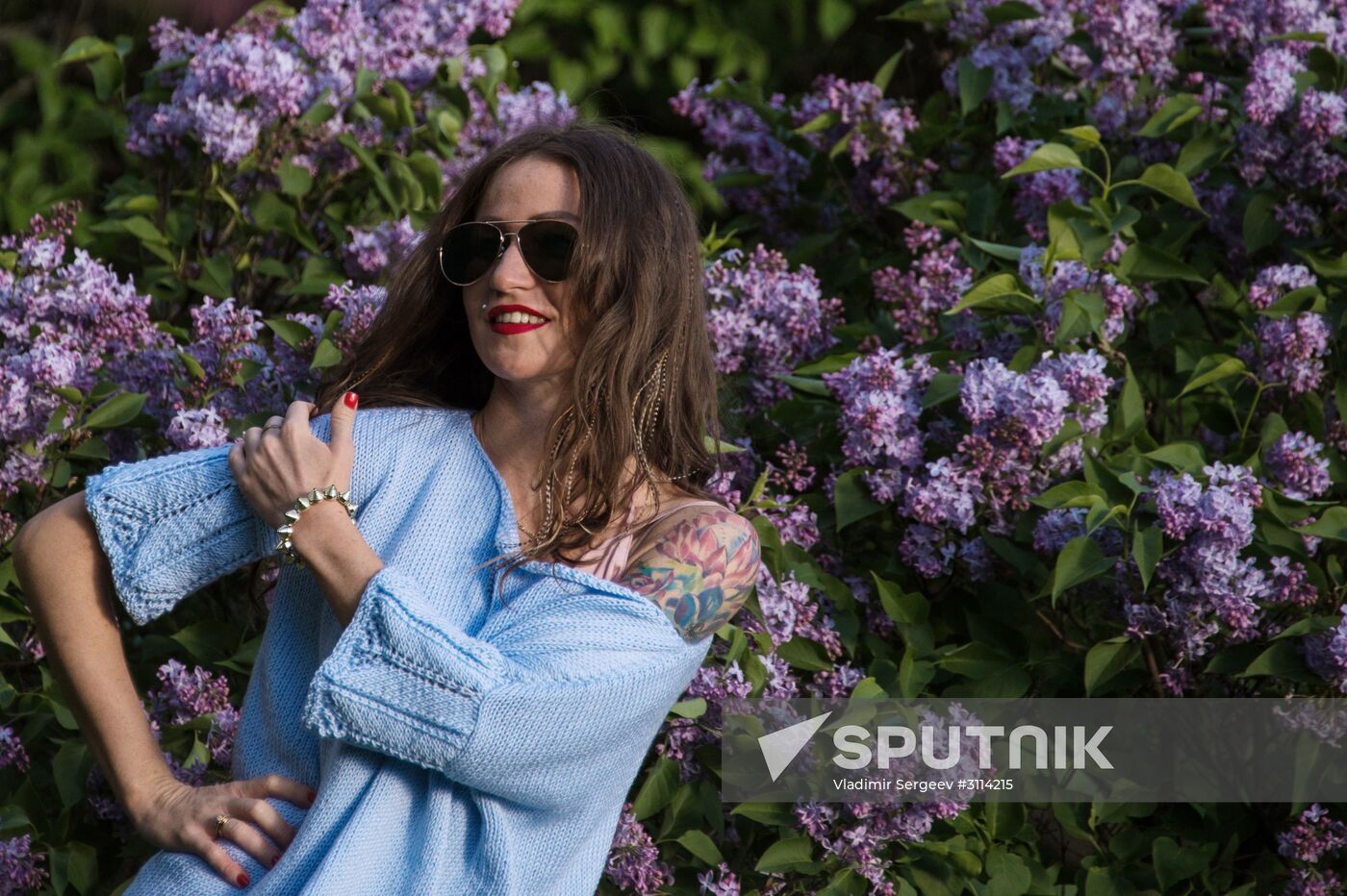 Lilac bushes bloom in Moscow