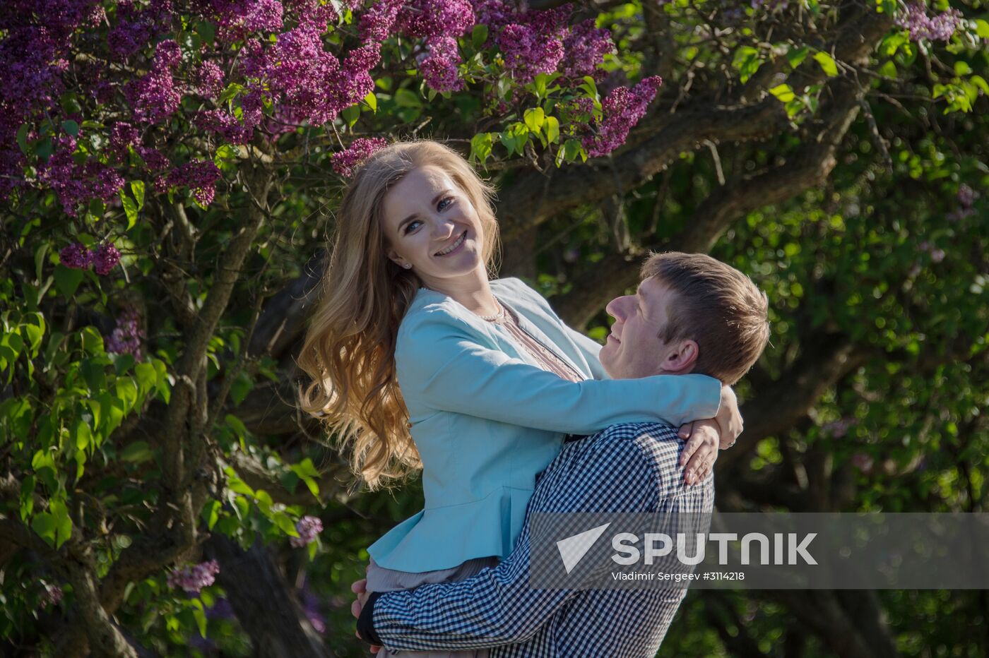 Lilac bushes bloom in Moscow