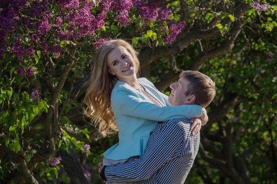 Lilac bushes bloom in Moscow