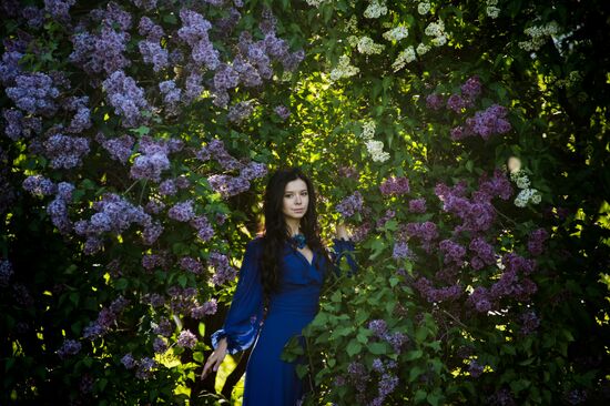Lilac bushes bloom in Moscow