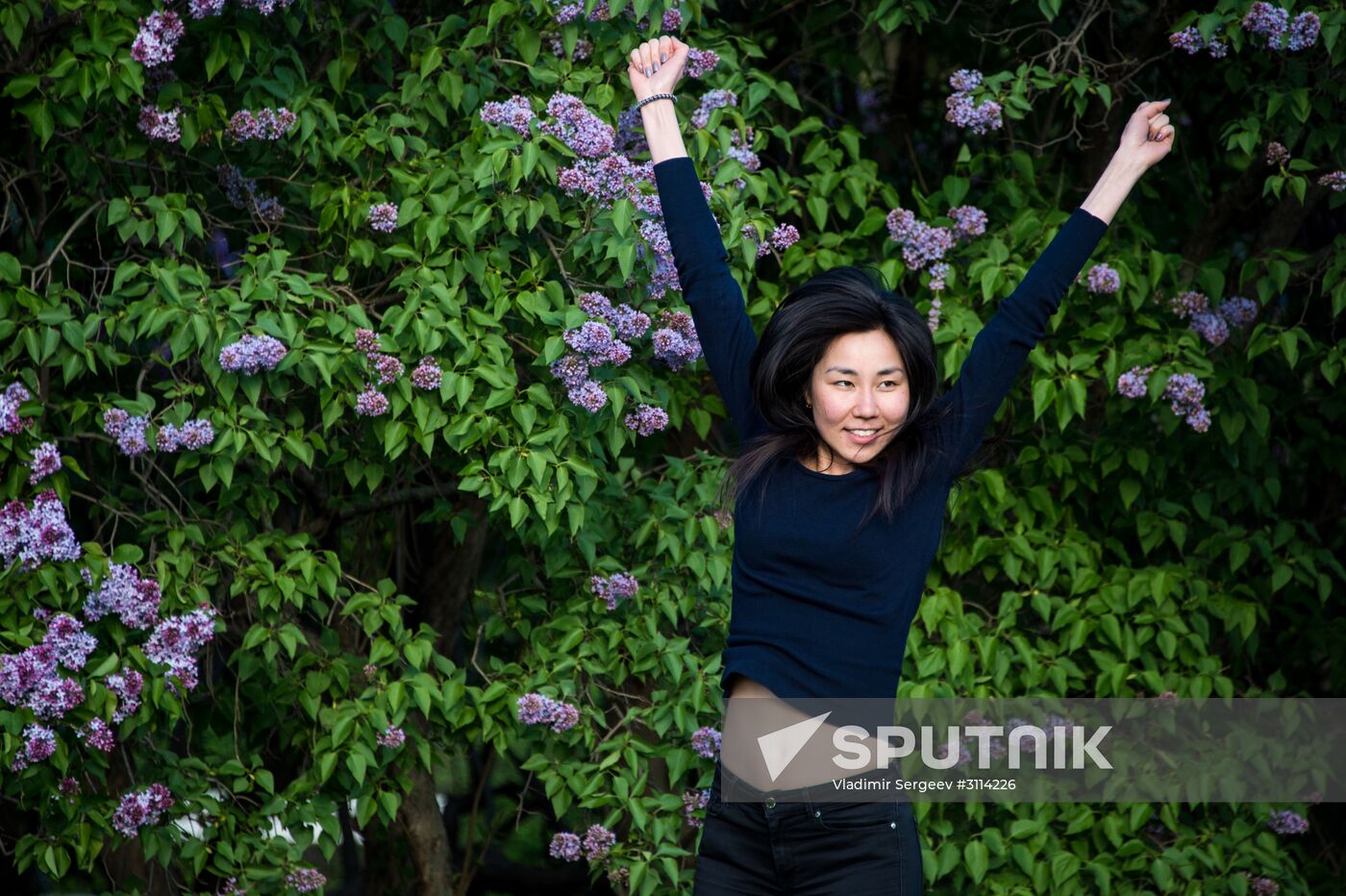 Lilac bushes bloom in Moscow