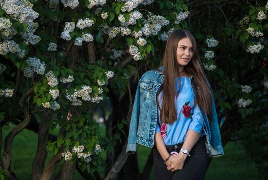 Lilac bushes bloom in Moscow