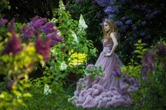 Lilac bushes bloom in Moscow