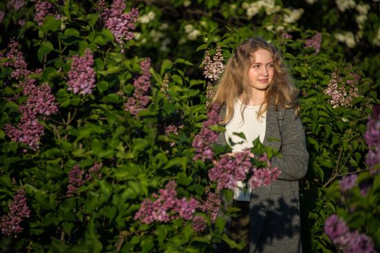 Lilac bushes bloom in Moscow