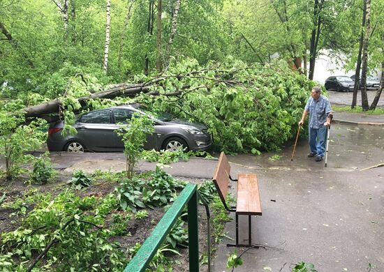 Hurricane aftermath in Moscow
