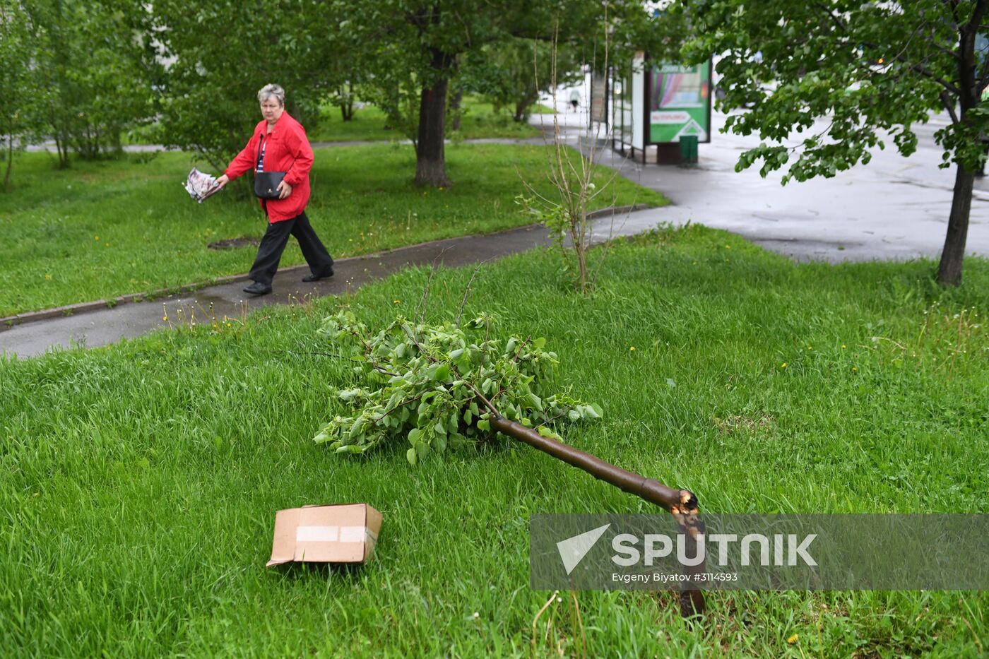 Hurricane aftermath in Moscow