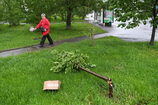 Hurricane aftermath in Moscow