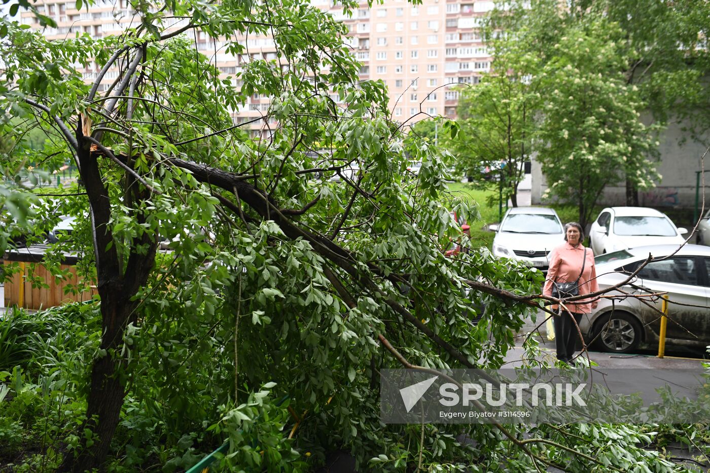 Hurricane aftermath in Moscow