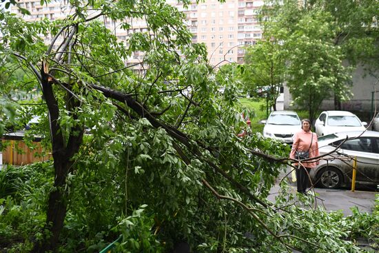 Hurricane aftermath in Moscow