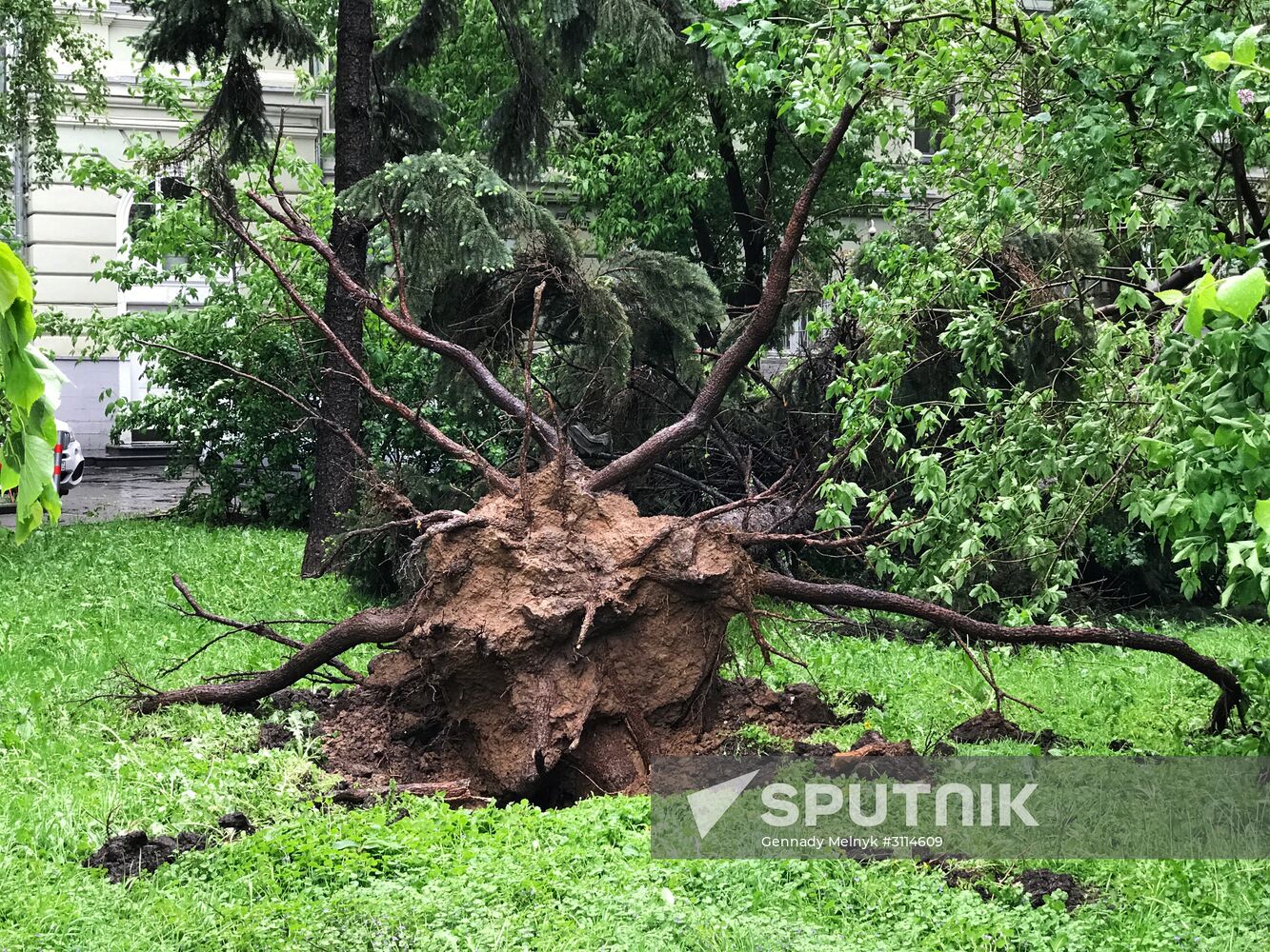Hurricane aftermath in Moscow