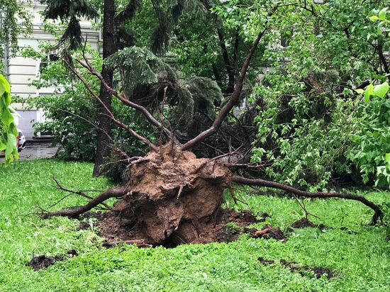 Hurricane aftermath in Moscow