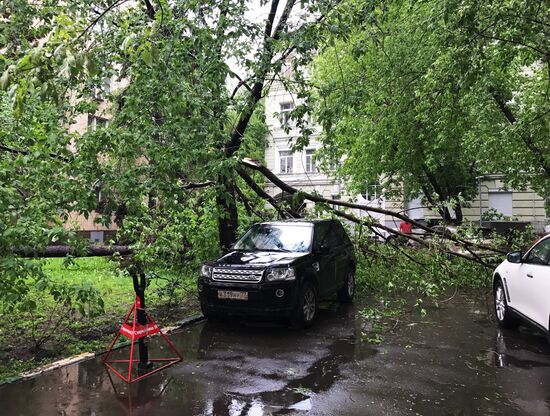 Hurricane aftermath in Moscow